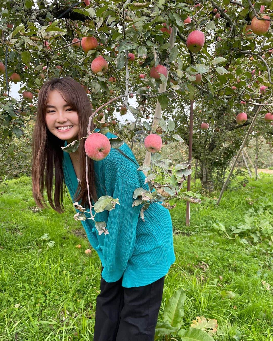 箭内夢菜さんのインスタグラム写真 - (箭内夢菜Instagram)「🍎 YouTubeオフショット りんご狩り楽しかったですー🥰 蜜がたっっぷりで本当にびっくりしました あんなに蜜が入ったりんごは始めてです😳  おいしすぎました🤤 薄井農園さん、ありがとございました！！   #福島  #薄井農園  #りんご狩り」11月25日 12時24分 - yumenayanai_official