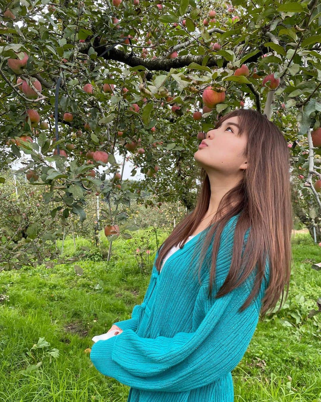 箭内夢菜のインスタグラム：「🍎 YouTubeオフショット りんご狩り楽しかったですー🥰 蜜がたっっぷりで本当にびっくりしました あんなに蜜が入ったりんごは始めてです😳  おいしすぎました🤤 薄井農園さん、ありがとございました！！   #福島  #薄井農園  #りんご狩り」