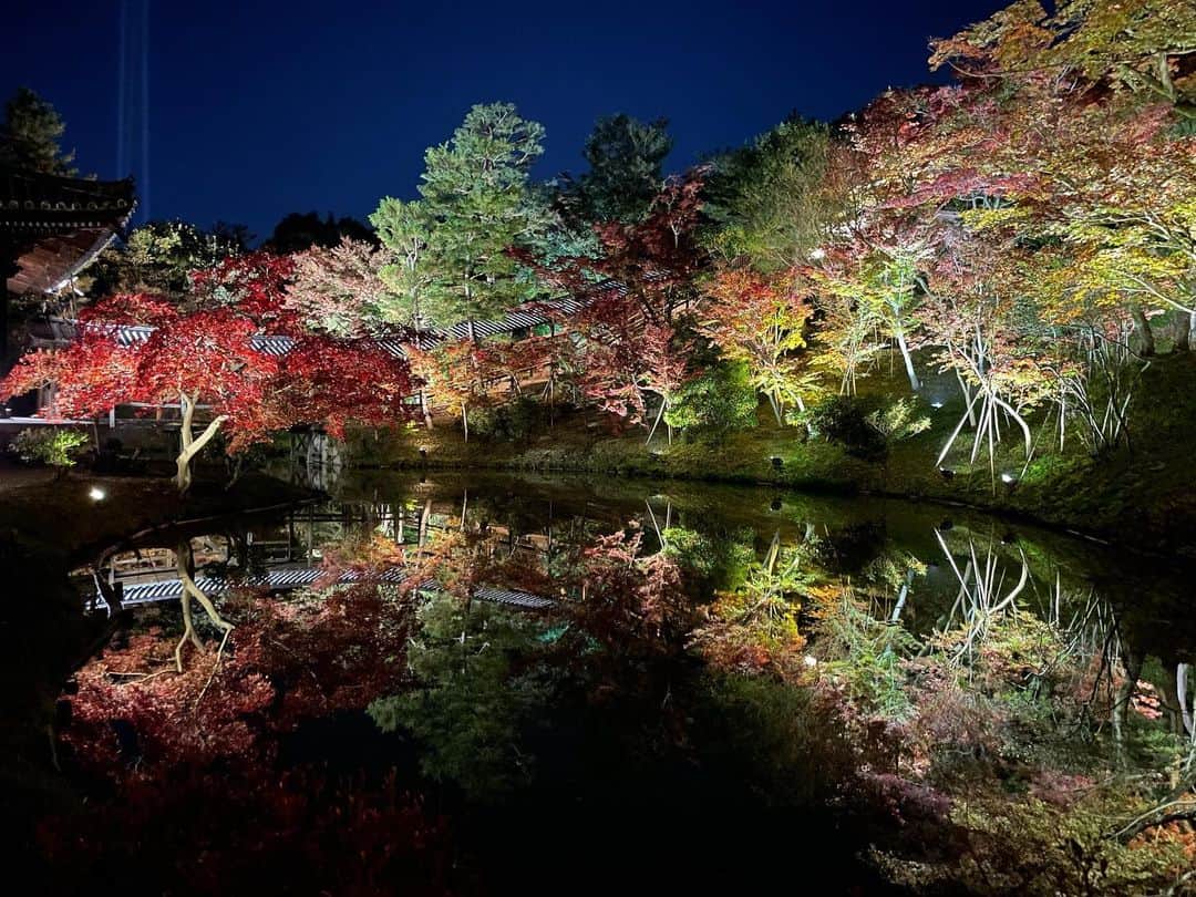 マシ・オカのインスタグラム：「夜の紅葉 Kyoto foliage at night time. Please come visit Japan when it opens up again.  Beautiful sights, food, culture, and people.  #高台寺 #京都 #Kodaiji #Kyoto」
