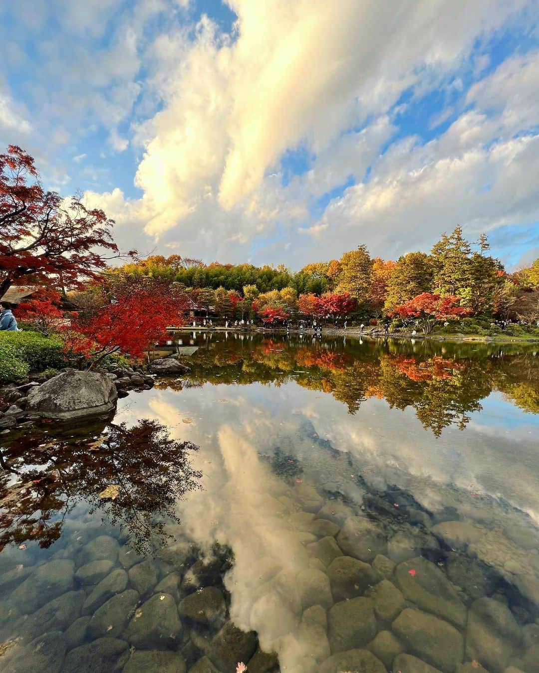 志摩マキのインスタグラム：「Amazing Japan🥰งดงามตามท้องเรื่อง🤣最近のアイホンが凄過ぎw #iphone13pro #🍁　＃紅葉　#秋　#満喫　#昭和記念公園　#🇯🇵 #ญี่ปุ่น #ใบไม้เปลี่ยนสี #สวย #สวยบอกต่อ #Japan #autumn #showakinenpark」