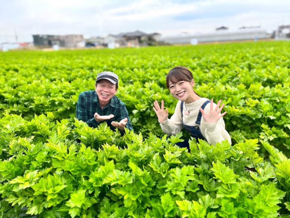 澤井志帆さんのインスタグラム写真 - (澤井志帆Instagram)「. 2021.11.25 ⁡ 次回のごちそうカントリーは 冬場の生産量日本一！浜松産セルリーの話題をお届けします♩ ⁡ 11/28 午前11:40〜お楽しみに✨ ⁡ ⁡ ごちカンのロケではいつもくんちゃんと沢山写真を撮るんです🤳😎 2枚目以降にまとめて載せてみました✌🏻 くんちゃんの表情とポーズのバリエーションが本当に豊富…笑 さすがです😂👏🏻 ⁡ ⁡ #DaiichiTV #アナウンサー #國本良博 さん #ごちカン #浜松#セルリー」11月25日 15時43分 - shiho_sawai