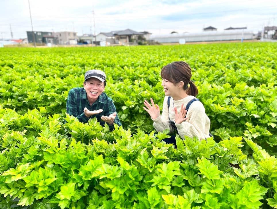 澤井志帆さんのインスタグラム写真 - (澤井志帆Instagram)「. 2021.11.25 ⁡ 次回のごちそうカントリーは 冬場の生産量日本一！浜松産セルリーの話題をお届けします♩ ⁡ 11/28 午前11:40〜お楽しみに✨ ⁡ ⁡ ごちカンのロケではいつもくんちゃんと沢山写真を撮るんです🤳😎 2枚目以降にまとめて載せてみました✌🏻 くんちゃんの表情とポーズのバリエーションが本当に豊富…笑 さすがです😂👏🏻 ⁡ ⁡ #DaiichiTV #アナウンサー #國本良博 さん #ごちカン #浜松#セルリー」11月25日 15時43分 - shiho_sawai