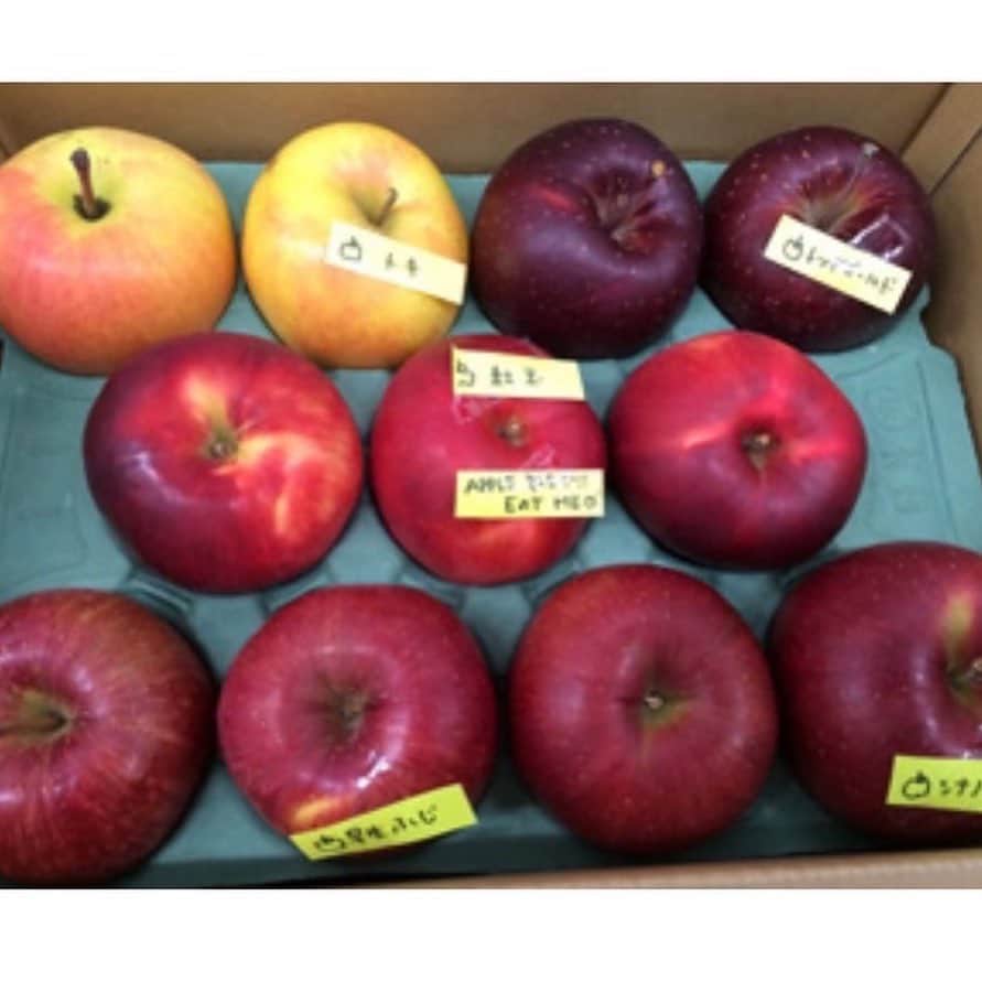松尾由美子さんのインスタグラム写真 - (松尾由美子Instagram)「こんばんは。 今日は7時前に ぷよぷよとリンゴを掛け合わせたゲーム「ぷよりんご」🍎の話題が出てきました。 スタジオにあったリンゴの種類を全て当てられて嬉しいです！  実は7年前、 青森朝日放送の坂本佳子アナウンサーから 「今日リンゴ園でロケがあったので送ります！」と、 解説の付箋がついたリンゴを送っていただいたことがありました。 今日当てられたのは坂本さんのおかげです😆 坂本アナ、お元気かなぁ… 青森では街路樹がリンゴの木なのにも当時驚いたなぁ…  2014年当時のアナウンサーズブログの写真も添付します。 いただいた紅玉で作ったケーキ、とっても鮮やかに色が出ています😊  今日も皆さん、お疲れ様でした。  シャツ @lautreamont_insta  パンツ クレジットなし  イヤリング 4°C @4c_jewelry  ディープなブルーのシャツでパキッとしたカラーで存在感のあるスタイル。 ベージュのパンツを合わせることで馴染みすいコーデにしました。 パンツやベルトを変えるだけで印象が変わります。  #スーパーJチャンネル #Jチャン #松尾と服 #松尾由美子 #りんご #ぷよりんご #りんごケーキ #ABA #坂本佳子アナウンサー　ありがとう」11月25日 19時44分 - yumikomatsuo5