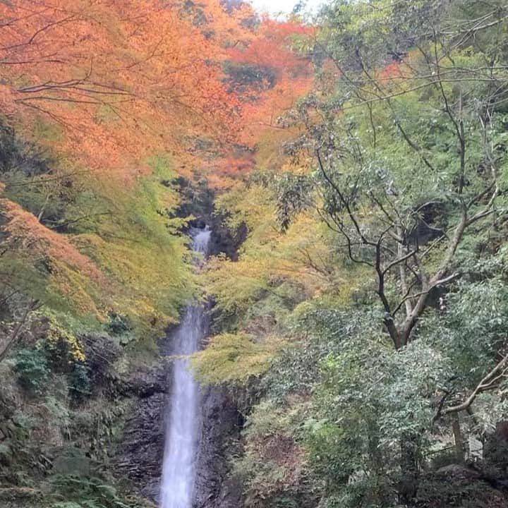 浦口史帆のインスタグラム