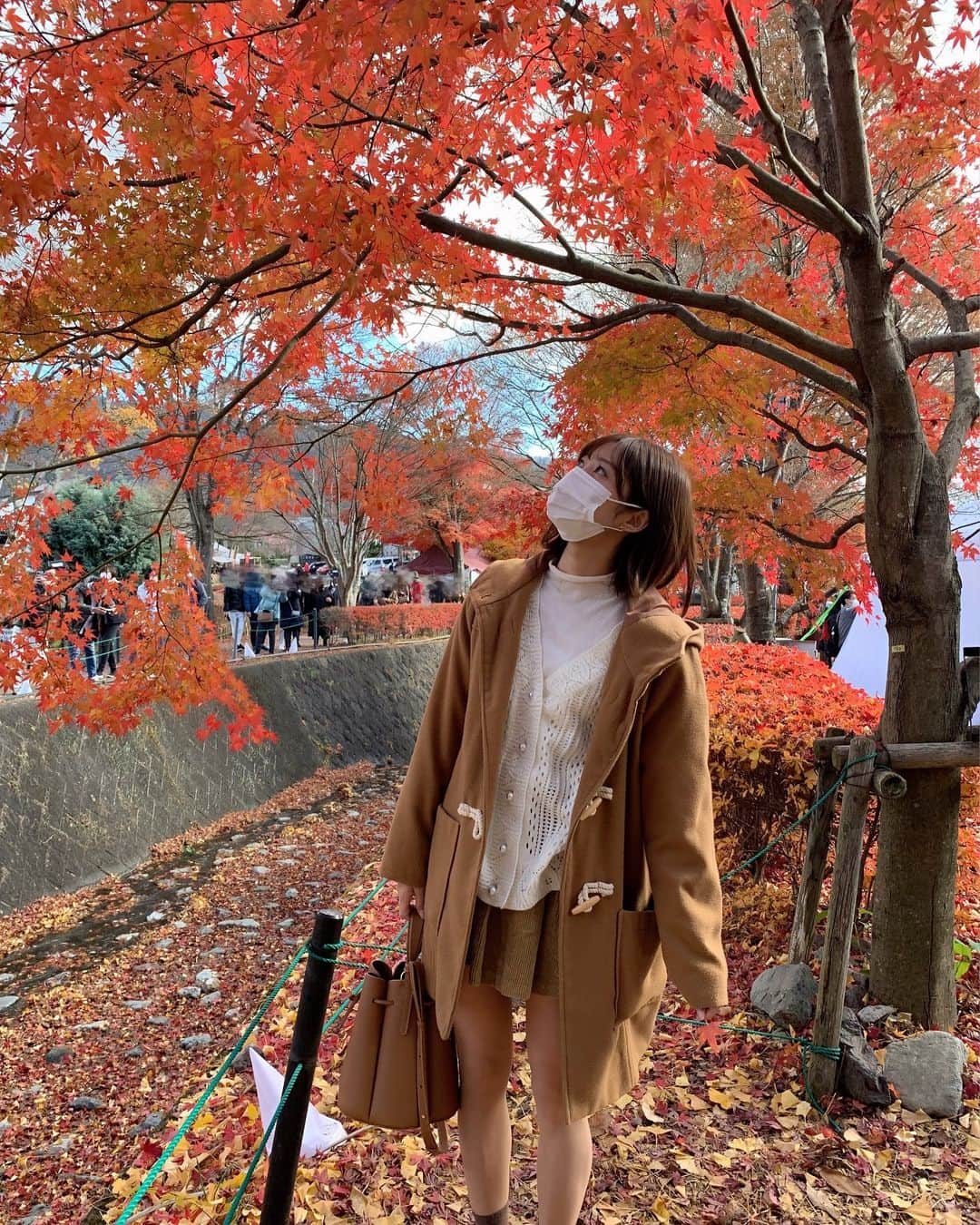 松川星さんのインスタグラム写真 - (松川星Instagram)「紅葉まつり🍁 すごく綺麗で感動した、、 秋好きだから終わって欲しくない〜」11月25日 21時11分 - akarin__rin