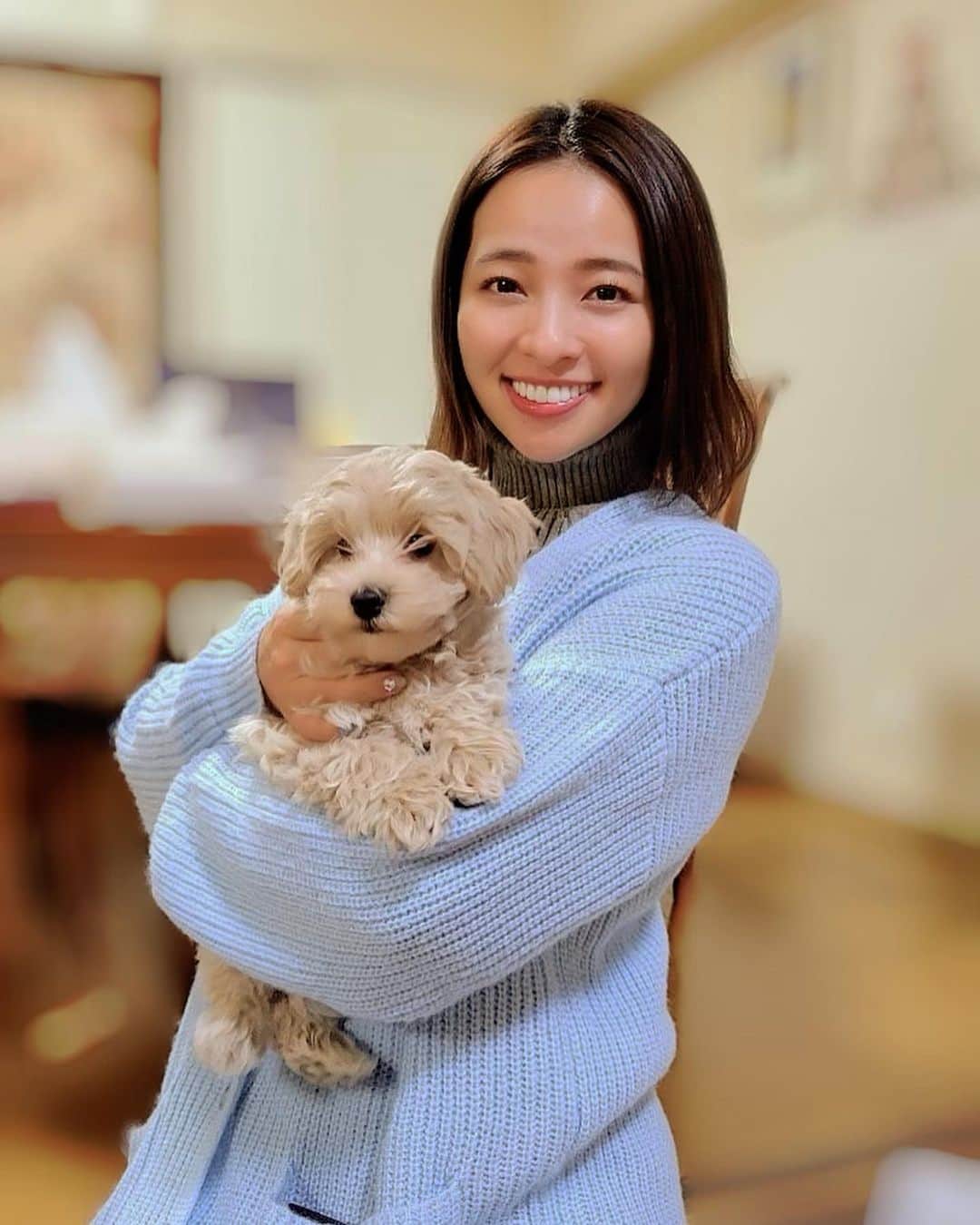 のインスタグラム：「お友達のわんこの兄弟が1匹だけ、もう少ししたら地方に旅立ってしまうので逢いに行ってきたよ。愛すべきわんこたち、かわいすぎる。幸せでした♡ うちの元気いっぱいMaloneとも早く会わせたいなー。2匹目お迎えしたら、ジョーにするんだ。笑 二人でジョーマローン。 この子たちは、白いのがボーロ。 黒いのがロック。ママはリッツだよ。  @ritz0907bolo0822   #マルプー #プードル  #マルチーズ #mix犬 #子犬 #いぬ #いぬすたぐらむ #いぬ #🐶 #犬 #dog #dogstagram #doglover #dogs #兄弟 #パピー」