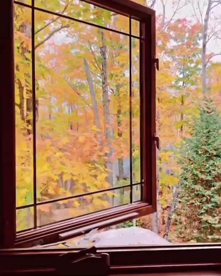 のインスタグラム：「Golden hour takes on a whole new meaning at Darinka’s spacious chalet. Whether you get here when the backdrop is yellow, green, or white, you’ll be perfectly situated to explore the trails, slopes, and galleries of the Haliburton Highlands.   Link in bio for cozy ski-in/ski-out cabin.   Video: @cabernetchalet」