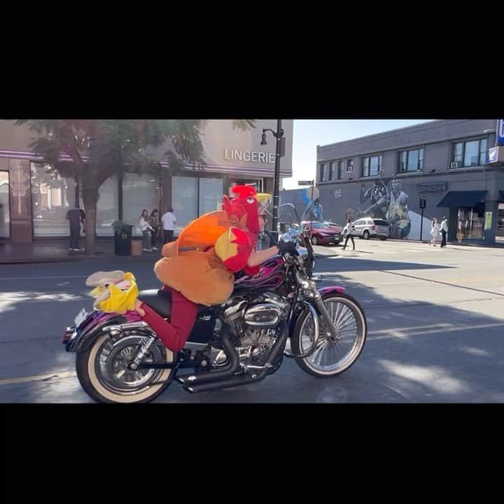 コーディー・レニー・キャメロンさんのインスタグラム動画 - (コーディー・レニー・キャメロンInstagram)「Gobble till ...