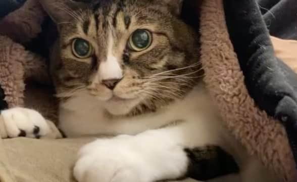前野えまのインスタグラム