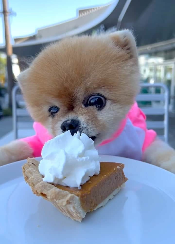 jiffのインスタグラム：「happy thanksgiving 😊💕」