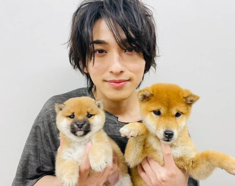 横浜流星　ファンアカウントさんのインスタグラム写真 - (横浜流星　ファンアカウントInstagram)「. 🐶 . #横浜流星」11月26日 15時56分 - yokohamaryusei_fan