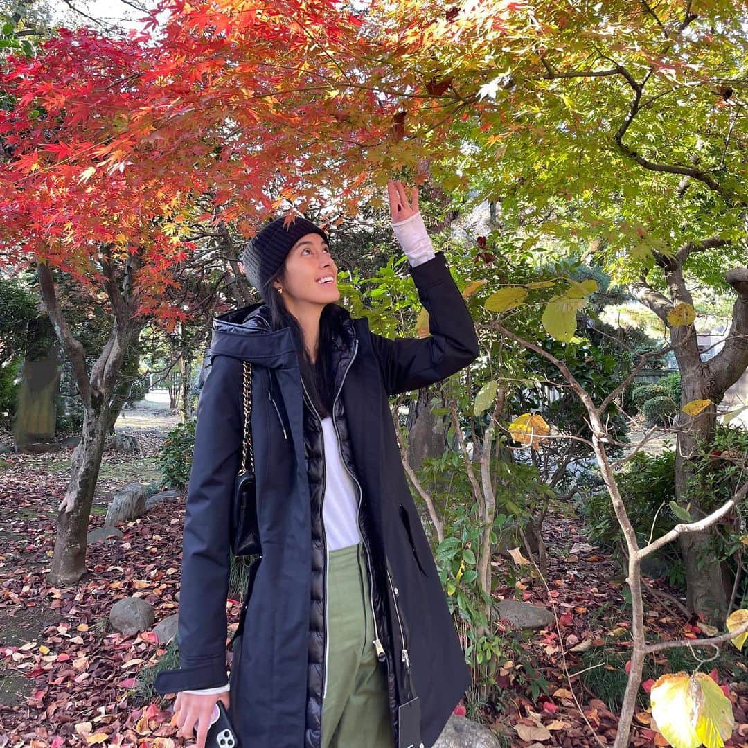 森泉さんのインスタグラム写真 - (森泉Instagram)「もみじがり🍁✨っていうんだって😮 #mackage #マッカージュ #ダウン」11月26日 16時26分 - izumi.mori