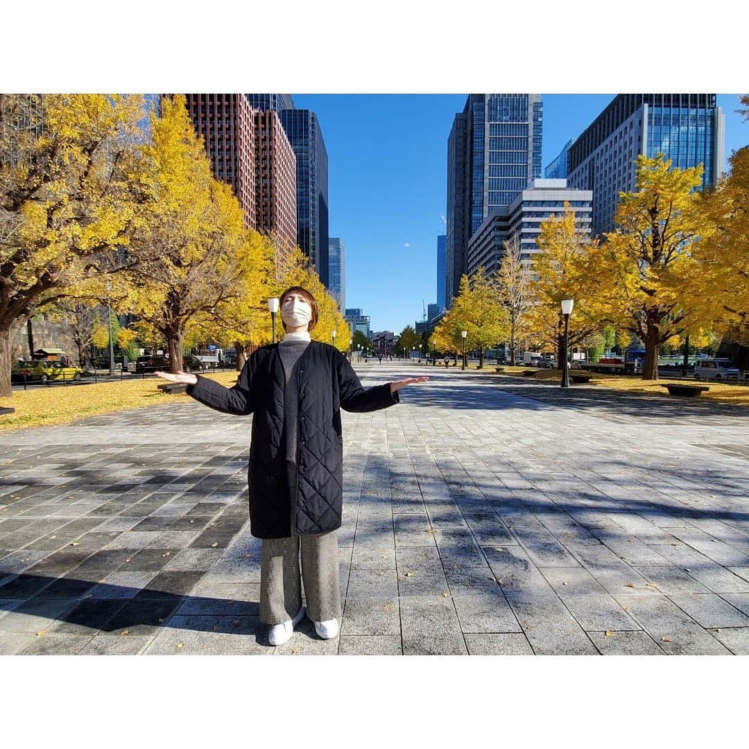 望海風斗さんのインスタグラム写真 - (望海風斗Instagram)「🍂 秋のありがたみをいただく🙏 最高だ‼︎ ⁡ Have a nice weekend✨ ⁡ #秋 #autumn #イチョウ #銀杏#ぎんなん#大好き #nozomist#nozoコレ#別ショット #後ろ姿#歩き方#男前 🤣 #望海風斗」11月27日 12時09分 - nozomifuto_official