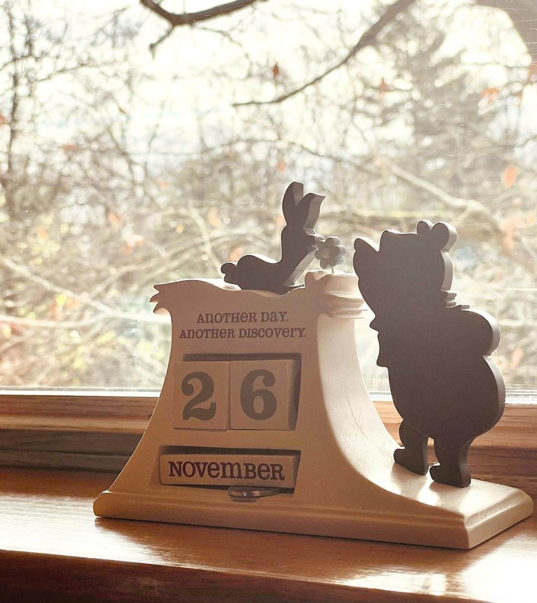 のインスタグラム：「🧡Winnie the Pooh🧡 #winniethepooh」