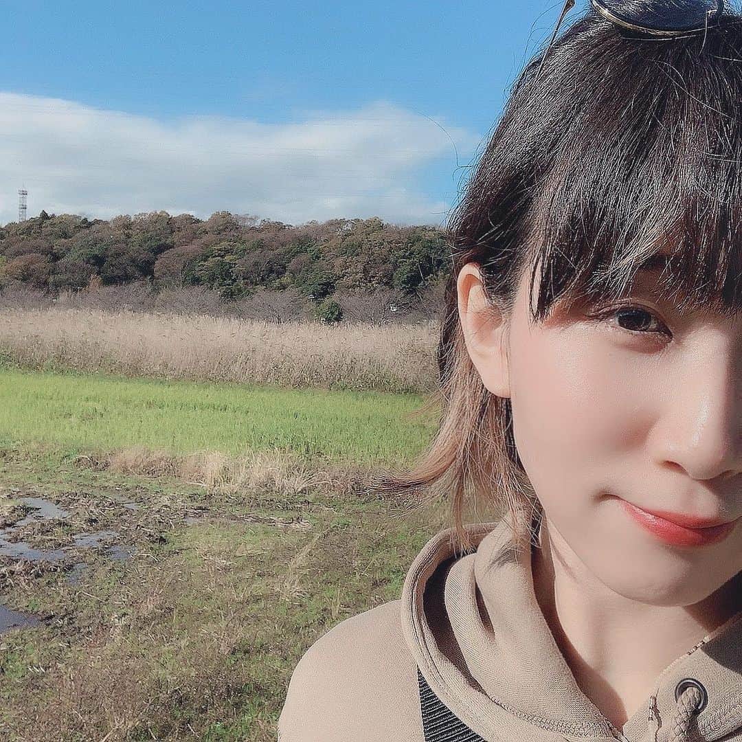 のインスタグラム：「少し足を伸ばせば森とミスド🌱🍩  #スローライフ #海辺の暮らし  #だけど #森 #太陽が #まぶしくて」