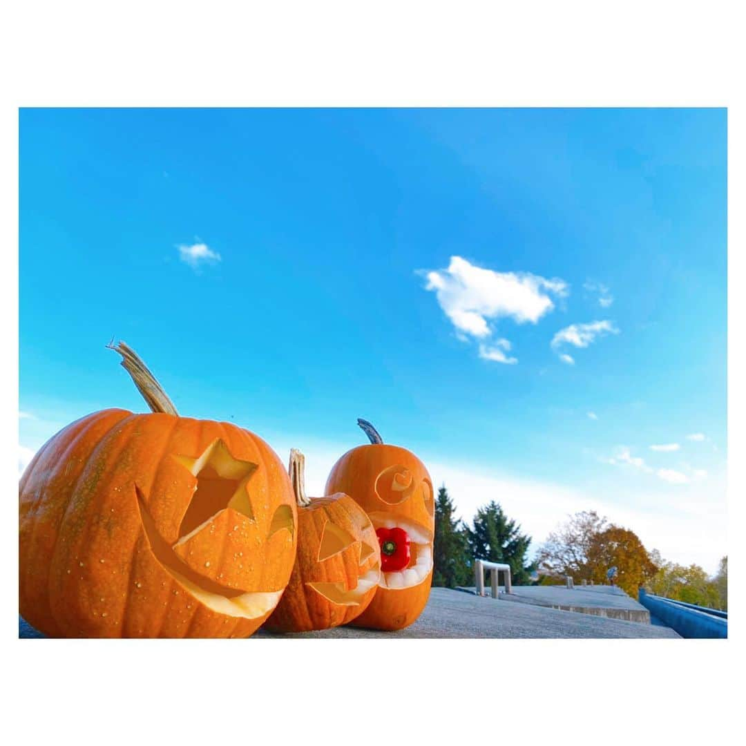 荒川れん子さんのインスタグラム写真 - (荒川れん子Instagram)「Super late post🤣 We made jack o lantern for the very first time for Halloween. I made a biting one😬 Not bad ya?!😂 毎日はゆったりしてる気がするけど月日が流れるのは早い。もう2ヶ月近く前ですが、今年のハロウィンはジャックオーランタンを作りました。1番右の噛み付いているのが私作。甥っ子とあーだこーだいいながら作って楽しかったです😊  さて、私、ハワイから暫く北海道の実家に一時帰国しております。こんなに長くなる予定ではなかったのですが、公私共にいろいろありまして長引いています。近々お仕事のお知らせもできると思います。 久しぶりに家族と長く過ごしたり、北国の雪に驚いたり、日本を満喫していますが、来月にはハワイに戻ります。雪国とのギャップが凄いですが😅、どちらの投稿もしていけたらと思うので(活発じゃないけど😅)今後とも宜しくお願い致します😊  因みにフラのレッスンは時差と格闘しながらもzoomで続けさせてもらっています🙏✨ . . #hawaii #japan #hokkaido #jackolantern #halloween #handmade #latepost #pampkin #morning #sky #hula #ハワイ #日本 #北海道 #帰省 #一時帰国中 #過去pic #カコソラ #朝 #遅ればせながら #ハロウィン #ジャックオーランタン #手作り #お知らせ #仕事 #フラ #感謝」11月27日 11時01分 - renren_hawaii