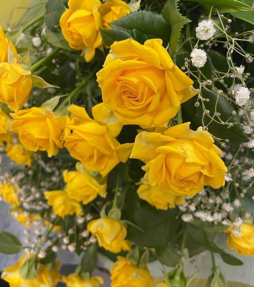 藩彩華さんのインスタグラム写真 - (藩彩華Instagram)「いつもお手伝いして下さる、そして同時に応援して下さっている方に花束を頂きました💐✨  黄色いバラ、幸せを感じますね！！」11月27日 21時28分 - caihua10ban