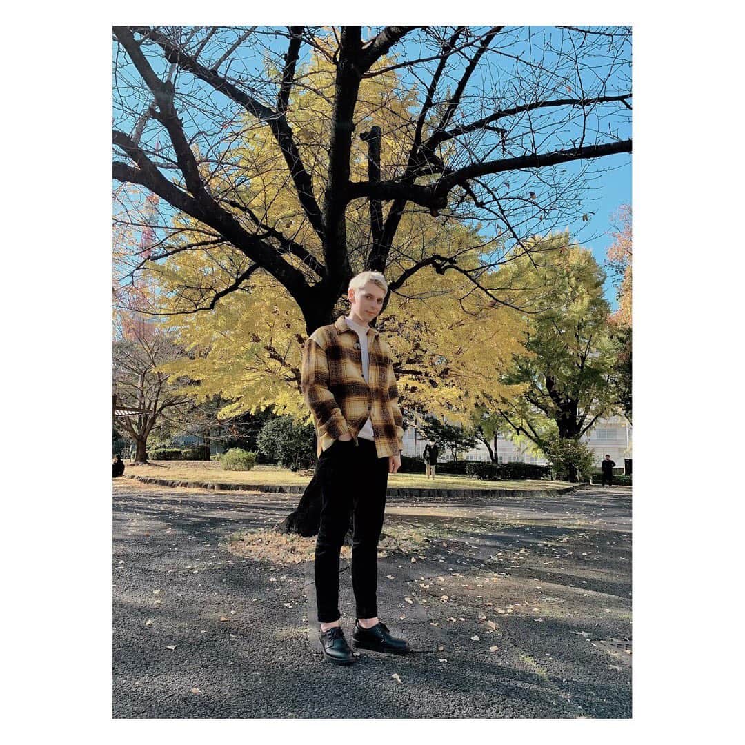 小原ブラスのインスタグラム：「秋も終盤🍁 イチョウの葉っぱが舞う季節🍂  #東京タワー の下にある芝公園行くと、仕事の休憩のOLとかカップルがいっぱい。皆色々抱えてるんやろうけど、幸せそうで平和を感じるわ☺️  秋といえばなんやろ？ #読書の秋 #食欲の秋 #芸術の秋  色々言うけど、秋はただの秋よ。 夏と冬の間、グレーゾーン。 「もうすぐクリスマスなのに恋人いないどうしよー」とか言って、傷を舐め合う季節でもあるわ。  #そんな #秋 #が #好き #皆は #秋といえば #なにかな #ぴ」