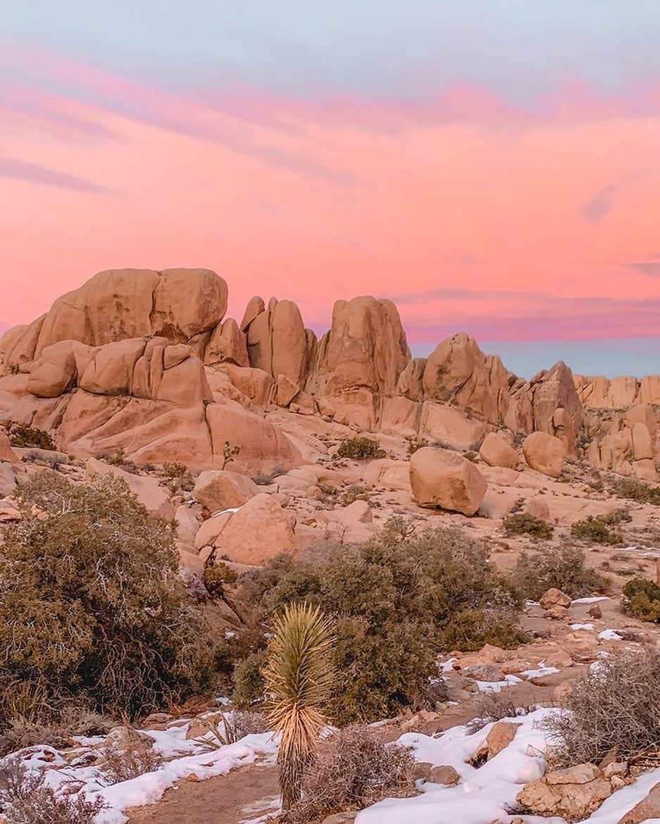 アナ・チエリさんのインスタグラム写真 - (アナ・チエリInstagram)「Manifesting a lil desert trip 🌙✨」11月27日 15時26分 - anacheri