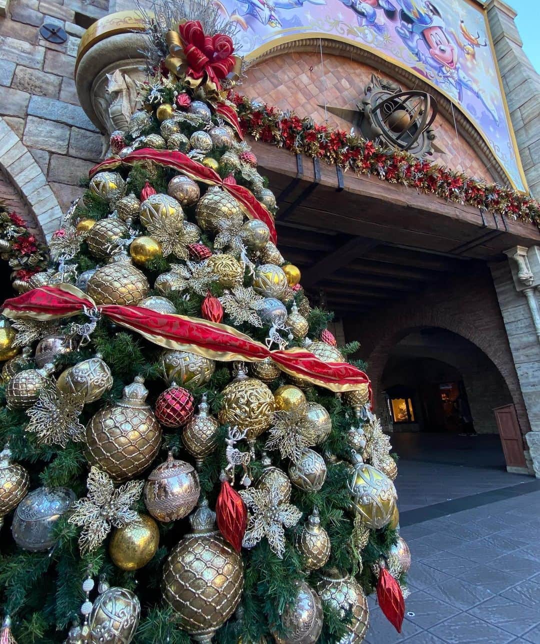 のインスタグラム：「だいすきな季節♡ ⁡ パークがクリスマス仕様になってて可愛かった〜🥰 ⁡ クリスマスは断然シー派🎄🐭 ⁡ #disney #disneysea #tds #Christmas #夢の国  #ディズニー #ディズニーシー #クリスマス」