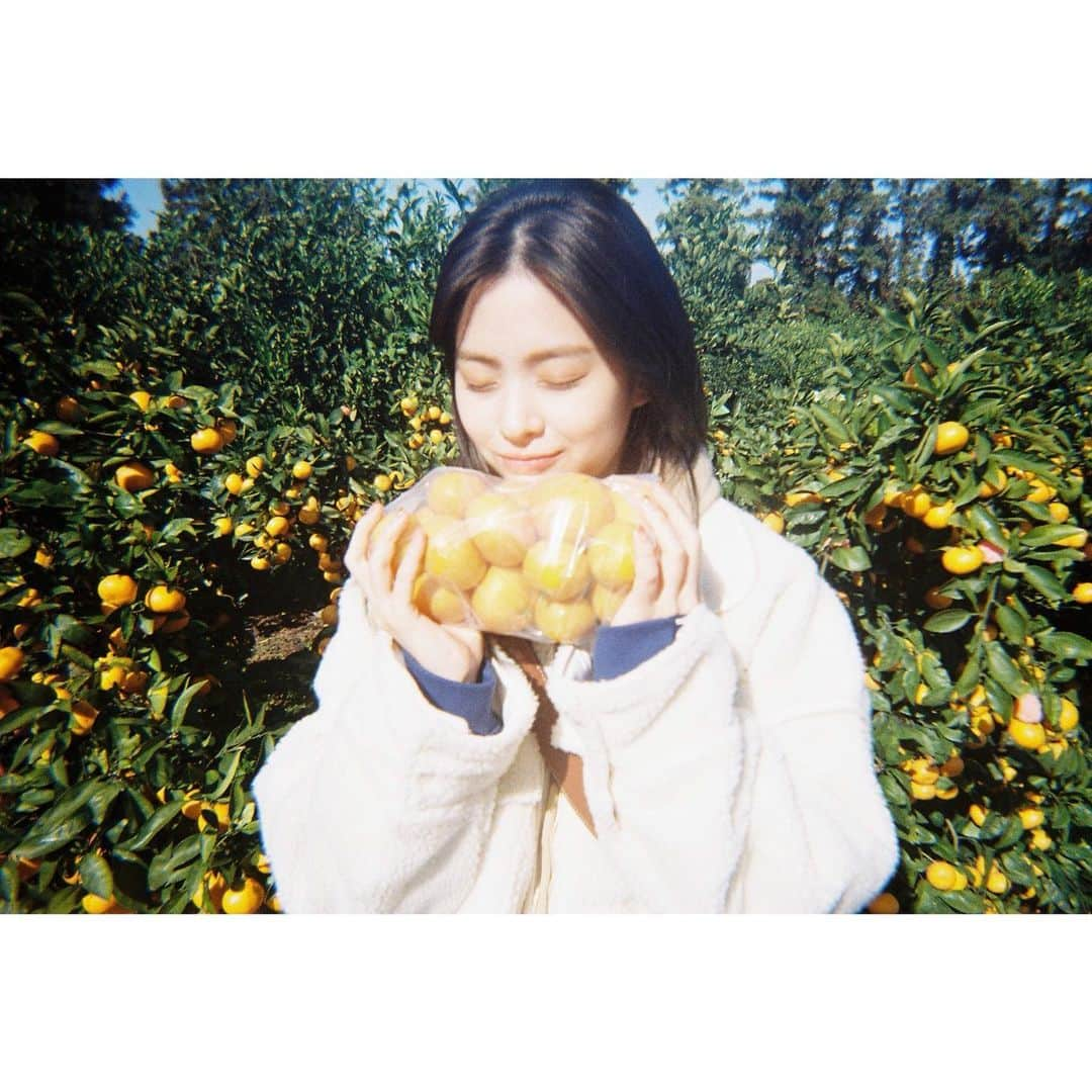 ITZYさんのインスタグラム写真 - (ITZYInstagram)「🍊 RYUJIN's VLOG in JEJU ITZY-DO 🍊   📍Scan ITZY-DO QR code right now! Find RYUJIN's favorite place in JEJU🌊」11月27日 19時00分 - itzy.all.in.us