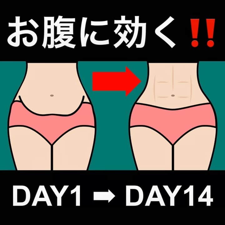 佐川裕香のインスタグラム：「\お腹の脂肪を減らす/  飛ばない！立ったまま出来る！ 効率よくお腹を引き締めるトレーニングをご紹介😊✨  いつも【いいね👍】・【保存】ありがとうございます🙇🏻‍♀️✨  仰向けで行うトレーニングも良いですが、 立つ事によって足裏との繋がりを感じられるのでどちらも行うとバランスが◎  お腹の筋力が弱くなると姿勢も崩れる原因にも💦積極的に整えつつ鍛えていきましょう👍  ステップ☝︎ ①はじめは小さく動かして行きます ②腰を反りすぎない様に注意 ③慣れてきたら呼吸に合わせて大きく動かす  🌸回数🌸 目安　各30回   今夜20時にYouTubeにアップする立ち腹筋はかなりオススメです！是非お試しください❤️  ▶︎効果を上げたい方はオンライン、対面レッスン ・水曜　上半身　 ・金曜　下半身 ・土曜　コア　←効果抜群です  ・対面レッスン　川口クラス 毎週火曜、金曜」