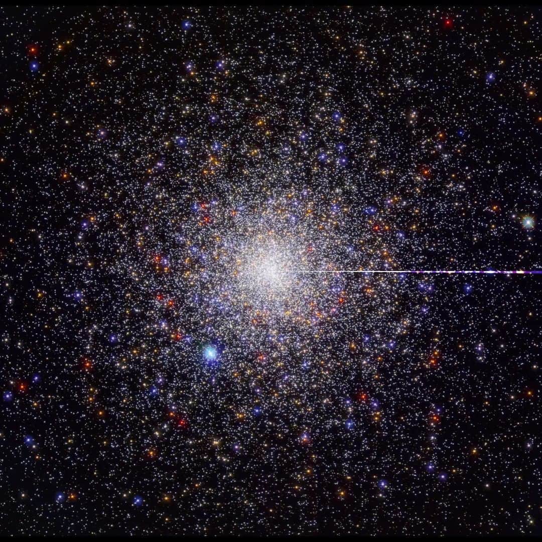のインスタグラム：「The holiday music can officially start now, right? ✨ 🎁   This sonification of Caldwell 73 or NGC 1851 reminds us of holiday tunes from about 40,000 light-years away in the constellation Columba! Caldwell 73 is a globular cluster, which is a spherical group of stars that are gravitationally bound to each other, with most of the stars concentrated at the cluster’s center.   As the radar scans around in this sonification, the radius of the stars is mapped to pitch, so stars farther from the center are higher pitched. The entire image is converted to the sound of a choir, while the orange and red stars are represented by a marimba, and the blue stars are represented by a glockenspiel.  Credit: SYSTEM Sounds (M. Russo, A. Santaguida)  #sonification #Hubble #space #astronomy #spacephotos #holidayseason」