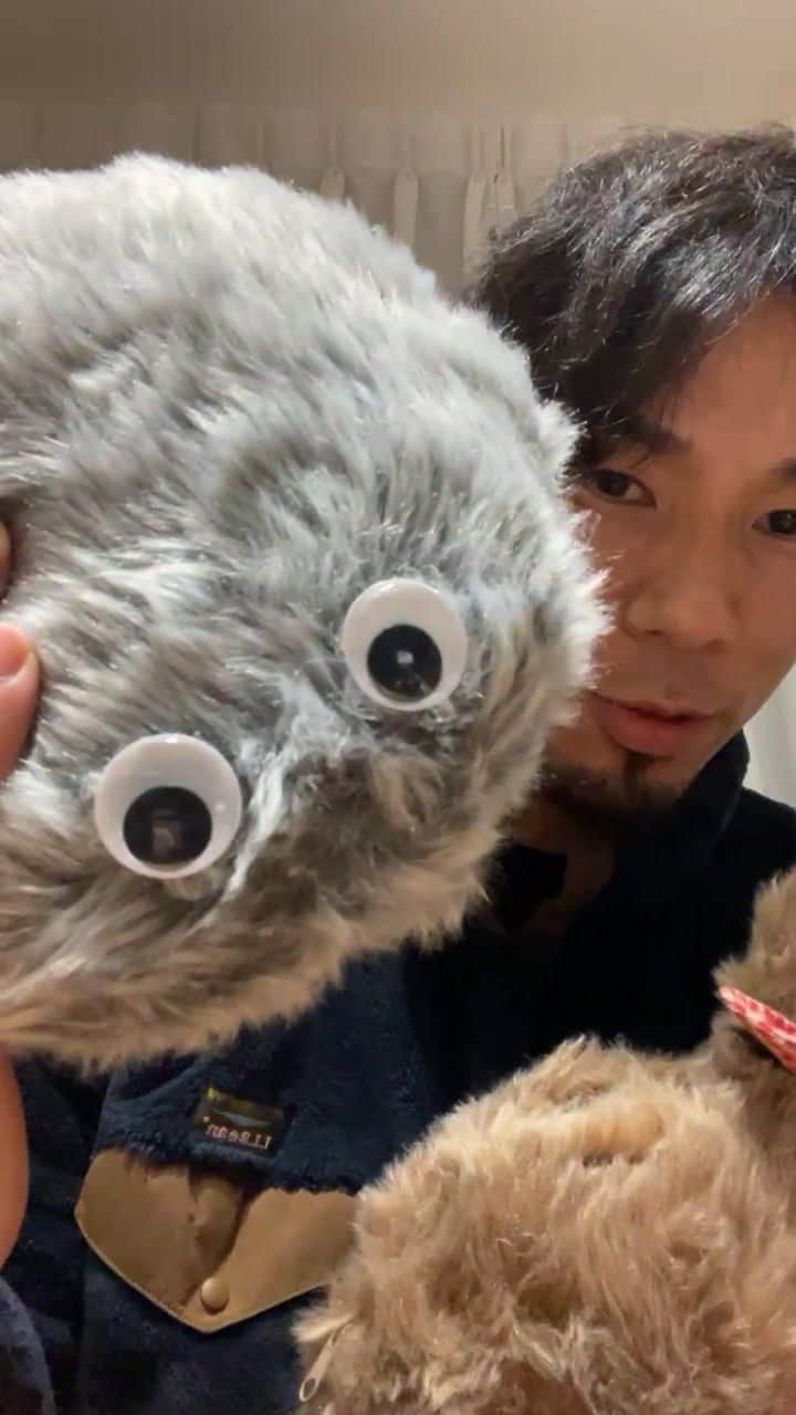 福澤達哉のインスタグラム：「**  ソロライブ🎙 アーカイブ残すつもりなかったけど、個人的に面白かったので残してみます🐾 #サムネイルの人形が気になる方 #空母じゃなくて #Qoobo #気になる人は覗いてみてね #コメント欄めっちゃ面白かったけど #アーカイブだと残らないの残念… #また需要あれば #ソロライブします #チャオ @qooborobot @yukaiengineering」