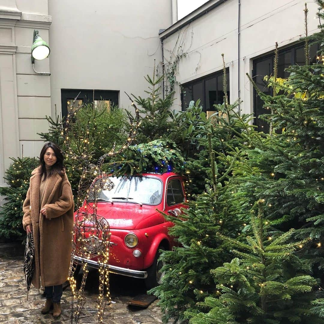 雨宮塔子さんのインスタグラム写真 - (雨宮塔子Instagram)「いつもの “Merci”がクリスマス一色に❣️  クリスマスをパリで過ごすのは7年ぶり(‼️)なので、ツリーを飾るか、飾らないか、デコをどうしようか、そしてどう過ごそうか思案中です😘  @merciparis  #noel  #decodenoel  #今日は雨模様だったけど #気分は上がったよ」11月28日 0時54分 - amemiya.toko