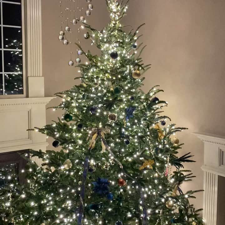 ルイス・ウィリアムスのインスタグラム：「All ready for the holidays」