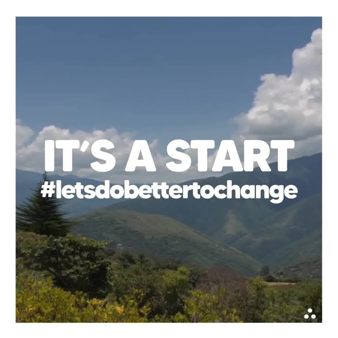 ジェロームドレイフュスのインスタグラム：「COMMITMENT NO. 3: SUPPORT  For two years, Maison Jérôme Dreyfuss has been supporting the association Coeur de Forêt in its project in Bolivia. This project is based on 3 axes: the reforestation of the area, the support of organic coffee producers and the development of beekeeping. The aim is to recreate the biodiversity of the area and to help the local population to become autonomous.  By 2021, Jérôme Dreyfuss' support will have enabled the planting of nearly 8,000 trees, the accompaniment of 10 coffee producers and 22 beekeepers, and the provision of about 20 beehives in the region. It’s a start #letsdobettertochange」