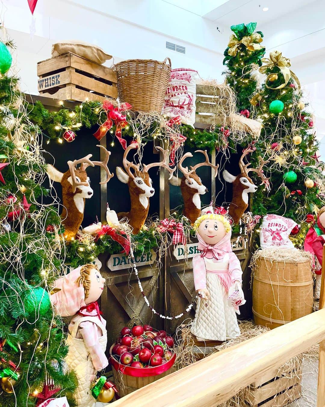 のインスタグラム：「Christmas decorations🎄 #chrsitmasdecorations」