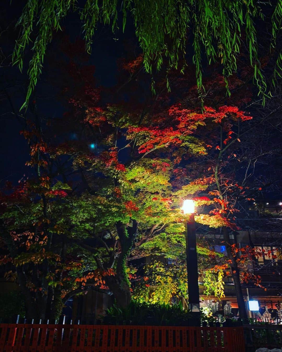 夏目ナナさんのインスタグラム写真 - (夏目ナナInstagram)「京都の紅葉🍁  #京都紅葉  #綺麗なものが好き  #冬まじか」11月28日 16時33分 - nana550123