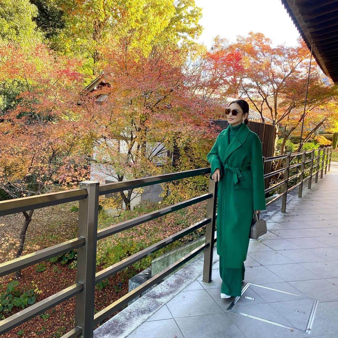 滝沢眞規子さんのインスタグラム写真 - (滝沢眞規子Instagram)「仕事で京都に来ています🍁 🍁🍁紅葉がとても綺麗🍁🍁 服、バッグともに　@loropianaofficial  ベビーカシミアのニットにコート💚 暖かいし軽いし華やかで、やはり素晴らしいです💚  @loropianaofficial #LoroPiana #ロロピアーナ」11月28日 16時54分 - makikotakizawa