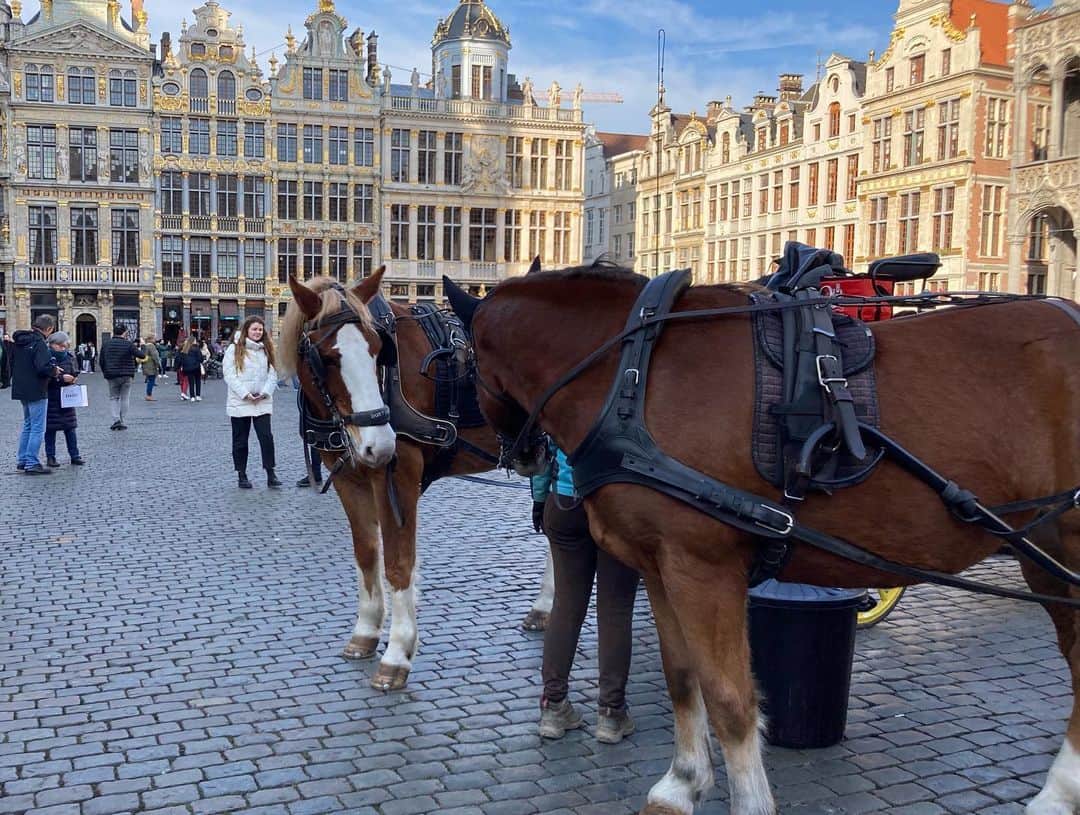 伊東楓さんのインスタグラム写真 - (伊東楓Instagram)「Bruxelles🇧🇪 旅行記。 小さな、クラシックな、芸術の街。オランダの帰り道に寄りました。#ベルギー#ブリュッセル  さて ゲリラインスタライブでしたが 皆さんと久しぶりに話せて 楽しかった休日。 なんだか、頑張れそうです。Dankeschön 🎉  一難去って、また一難。 人生はこの繰り返しだけど、苦しんだ分だけきっと良いことがあると信じよう🔥🔥 真面目すぎると息苦しくなるから時々思いっきりバカになって楽しんでみたい！  #belgien #België #ベルギー　#Bruxelles #Bruxelles #worldheritage  #一人旅 #travel」11月28日 8時03分 - kaede_ito004