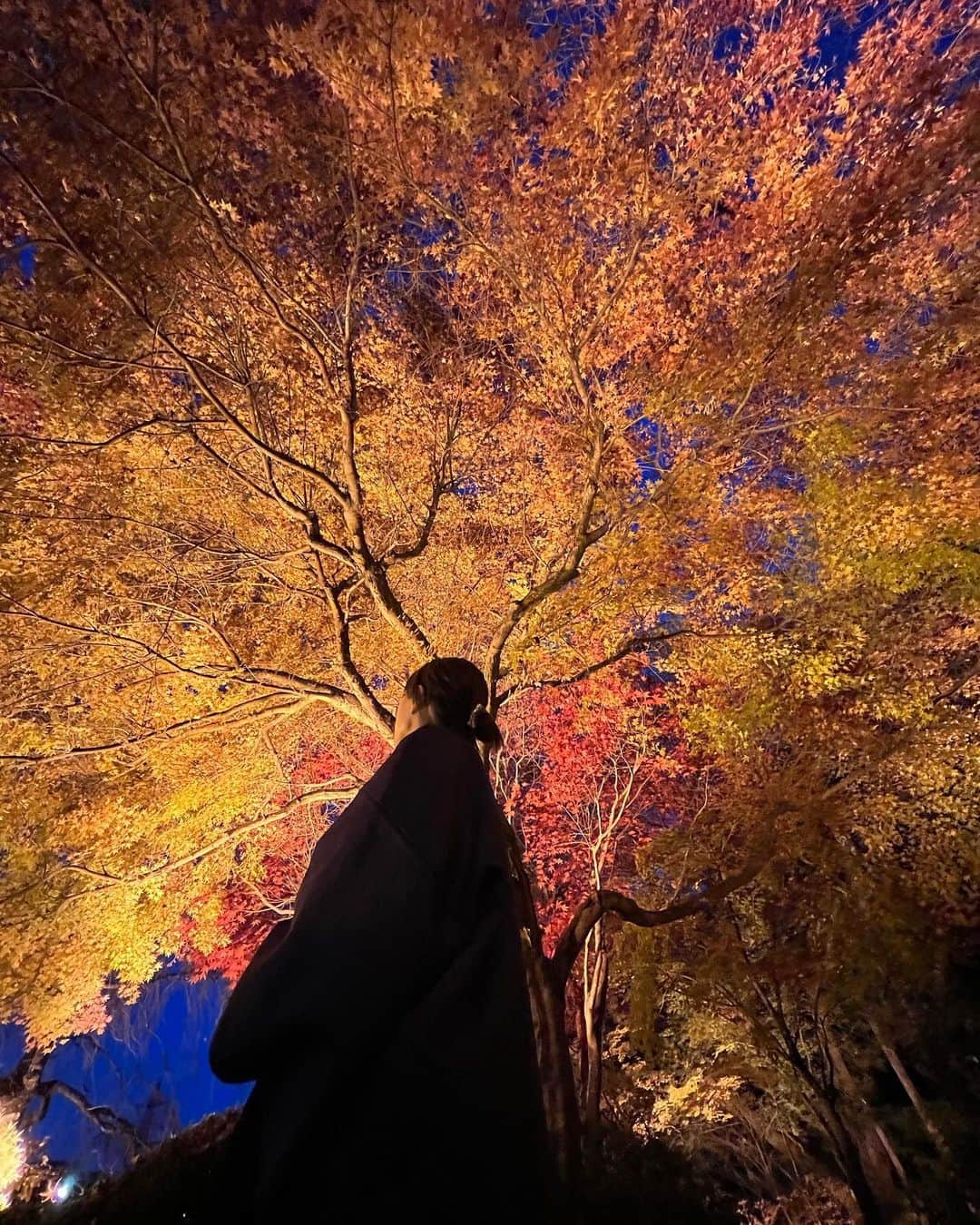 野田彩加さんのインスタグラム写真 - (野田彩加Instagram)「紅葉がすごい綺麗だった🍁✨✨✨ #家族旅行 #紅葉 #加工なしでこの綺麗さ」11月28日 12時41分 - aya.205
