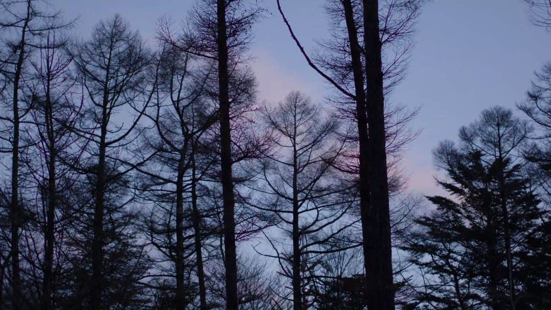 cafe_no_maのインスタグラム：「A Quiet Life. 静かな生活。」