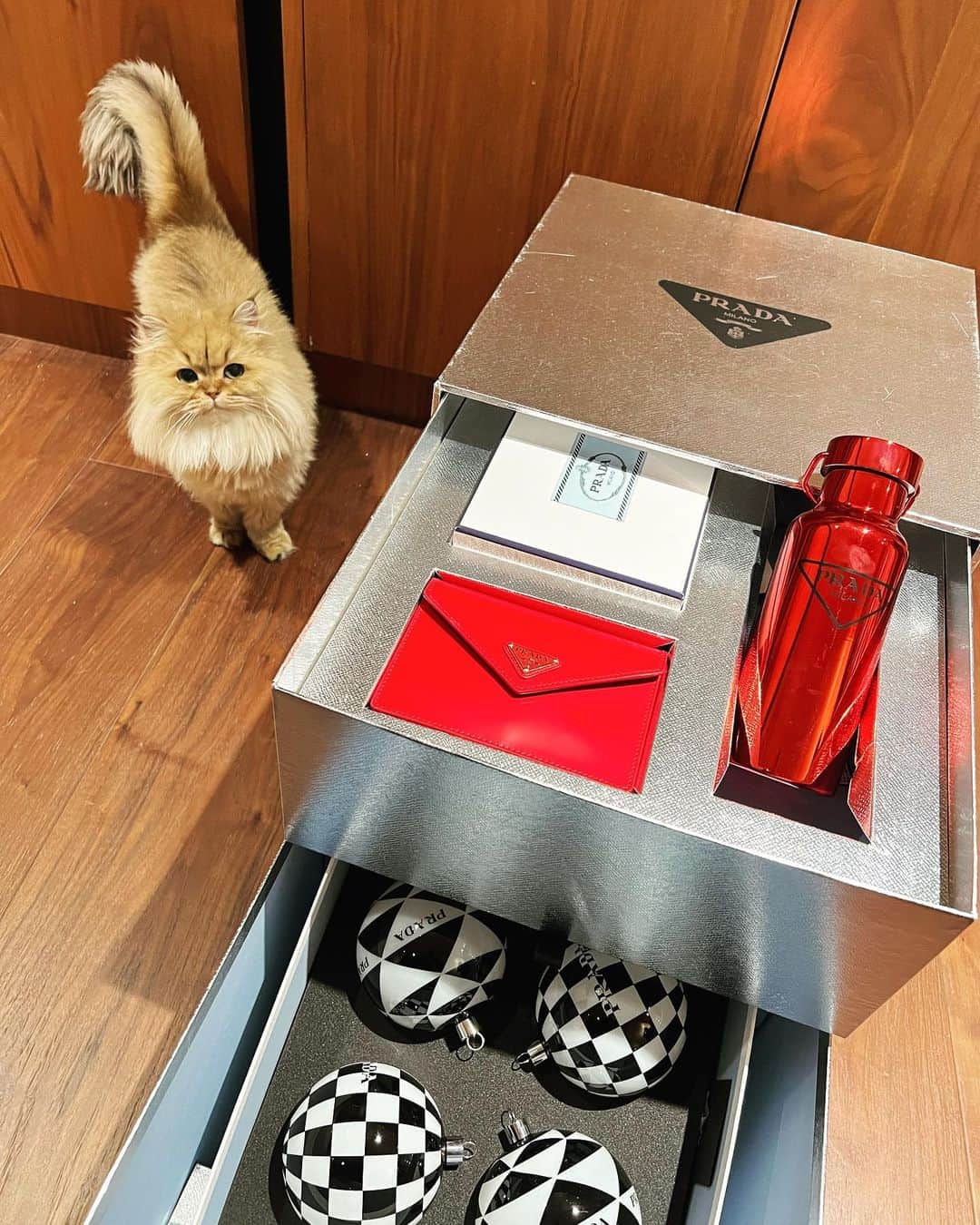 ソンソのインスタグラム：「@Prada #PradaHoliday21」