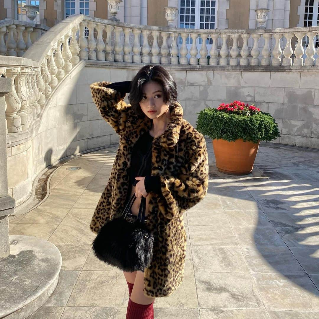 吉田あかりさんのインスタグラム写真 - (吉田あかりInstagram)「🐆🐆🐆」12月23日 21時37分 - a_ponnnn