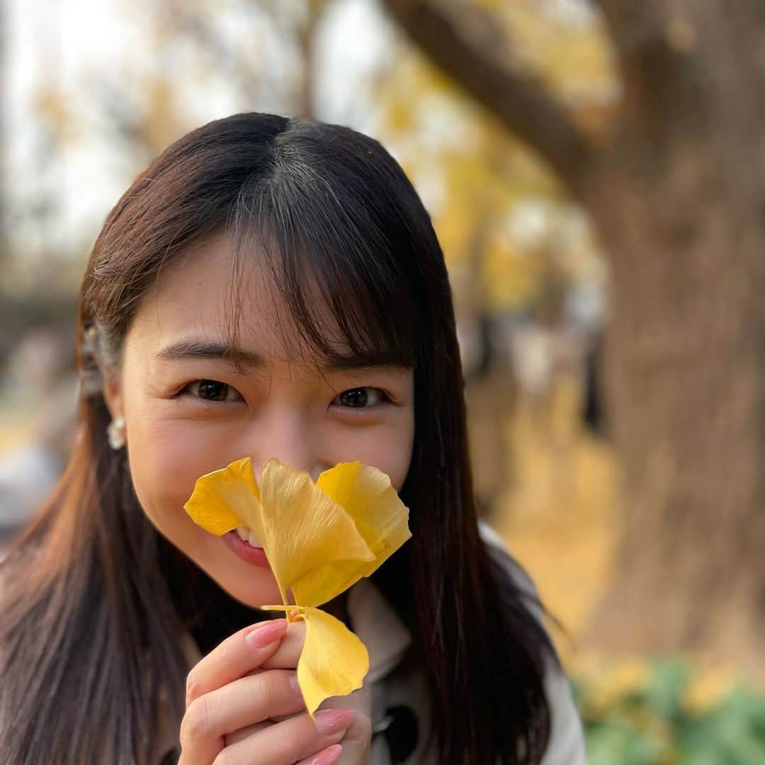 角田奈緒子さんのインスタグラム写真 - (角田奈緒子Instagram)「秋の忘れもの2 みんな可愛らしくイチョウいっぱい束ねて花束みたいにしてたけど 面倒くさくて3枚だけ持ってる☺ #イチョウ並木」12月23日 22時00分 - naokoon1122