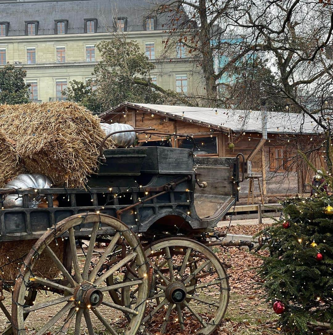 ダリア・ビロディドさんのインスタグラム写真 - (ダリア・ビロディドInstagram)「Hello from Switzerland 🇨🇭✨🎄 My first time in this country, I have been wanting to visit it for a long time😍 #switzerland #geneva」12月23日 22時13分 - dariabilodid7