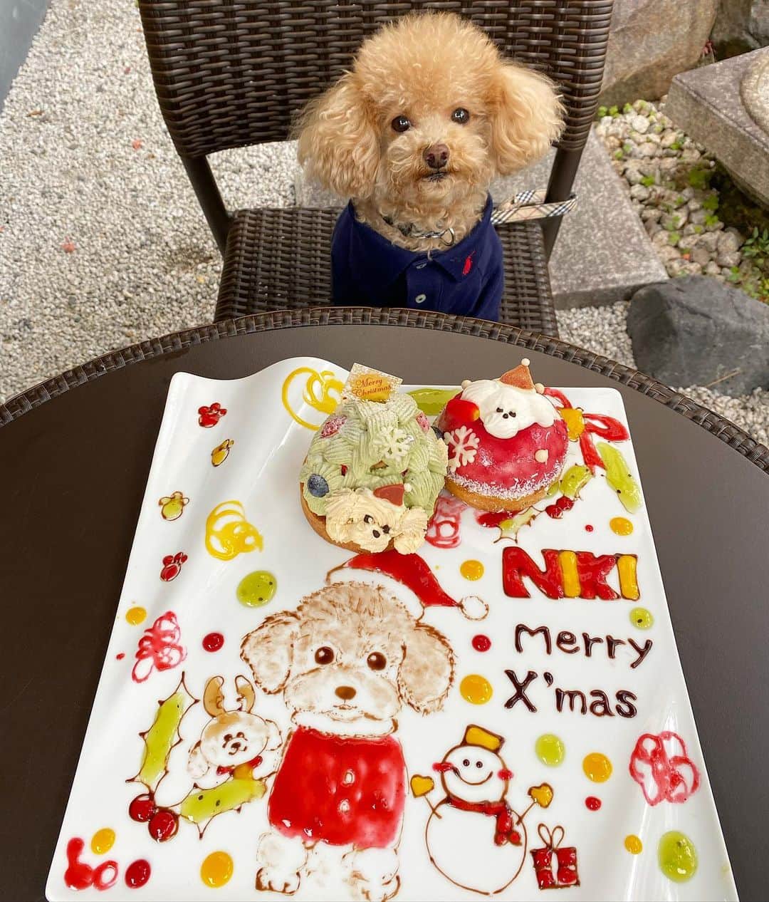ひなたろす（佐原ひなた）さんのインスタグラム写真 - (ひなたろす（佐原ひなた）Instagram)「京都のビアンカへ🎄🧑‍🎄  もうすぐクリスマスということで、、、 クリスマス使用のこんなに可愛いプレートを オーダーできるの🐶  @niki0905niki も連れてったので事前に 予約しておいたの🐩  こんなに可愛いケーキみたことない🥺🥺  テラス席は🐶もokで 店内も広くてケーキの種類もたくさんで どれを買うか迷ってしまう🥺💦💦  📍京都府京都市中京区室町通丸太町下ル道場町4  #ビアンカ #bianca #biancakyoto #カフェスタグラム  #京都カフェ #京都観光 #カフェ #トイプードル　#犬カフェ #カフェ巡り #ドッグカフェ #犬のいる暮らし #カフェ好きな人と繋がりたい #カフェ活 #カフェスタグラム #東京カフェ #丸太町カフェ #dog #プレート #バースデープレート #クリスマスケーキ #ケーキ #トイプードル男の子　#ビアンカ京都 #といぷーどる」12月23日 21時13分 - saharahinata
