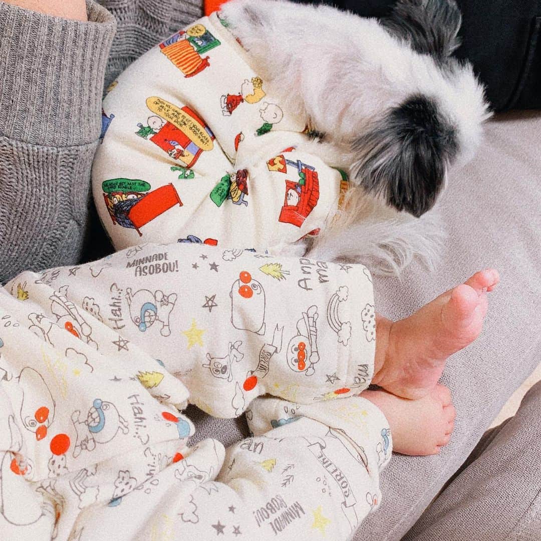 福野来夢のインスタグラム：「パジャマ姿が可愛すぎる子達👶🏻🐶❤️ . #とある日の休日 #いたずらコンビ #明日はクリスマスイブ」