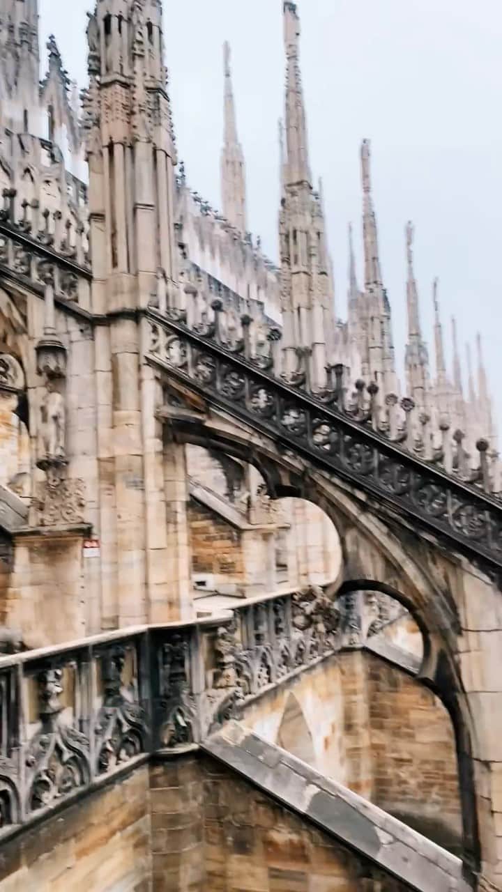 リュプカ・ゴイッチのインスタグラム