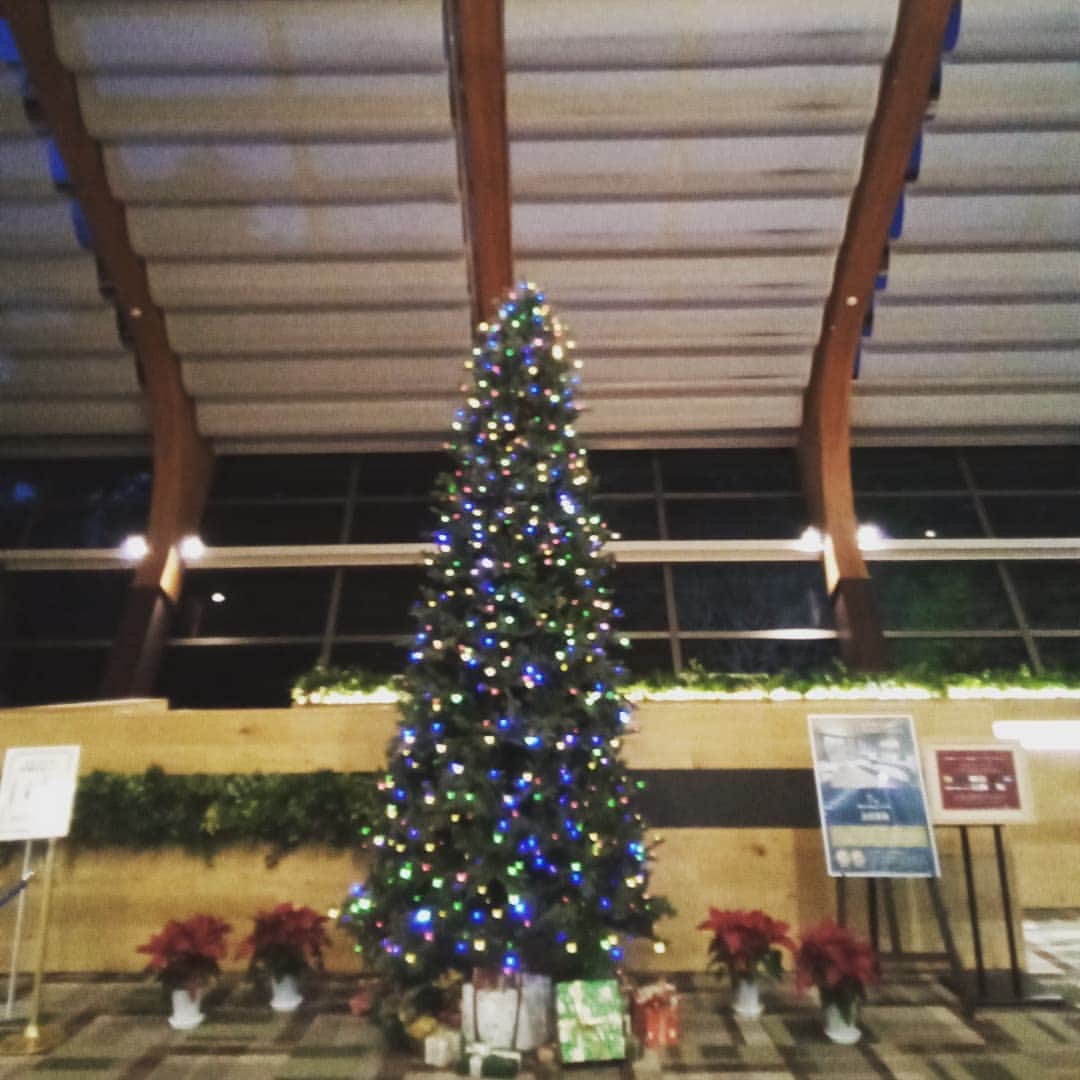 ホテルアンビエント伊豆高原のインスタグラム：「メリークリスマス！ 皆様にとって2021のクリスマスが素敵な日でありますように。 #ホテルアンビエント伊豆高原  #セラウﾞィリゾート泉郷 #メリークリスマス #hotelambient  #izukogen」