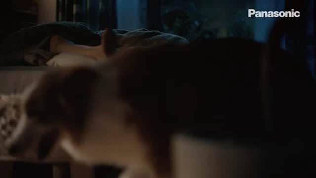 神崎れなのインスタグラム：「【🐶CM出演情報🐶】  パナソニック 寝室用エアコンEolia sleep 眠りに寄り添うエアコン篇のムービーに出演しています🙏🏻  監督は、アサヒスーパードライのCMでお世話になりました徳平監督です！私にとって生まれて初めての1人の出演です。  そして、なんともかわいいわんちゃんのなっちゃんとも共演しました🐶とても素敵な芝居してますのでよかったら見てみてください！  よろしくお願いします！  https://youtu.be/LfwBPASAeyE」