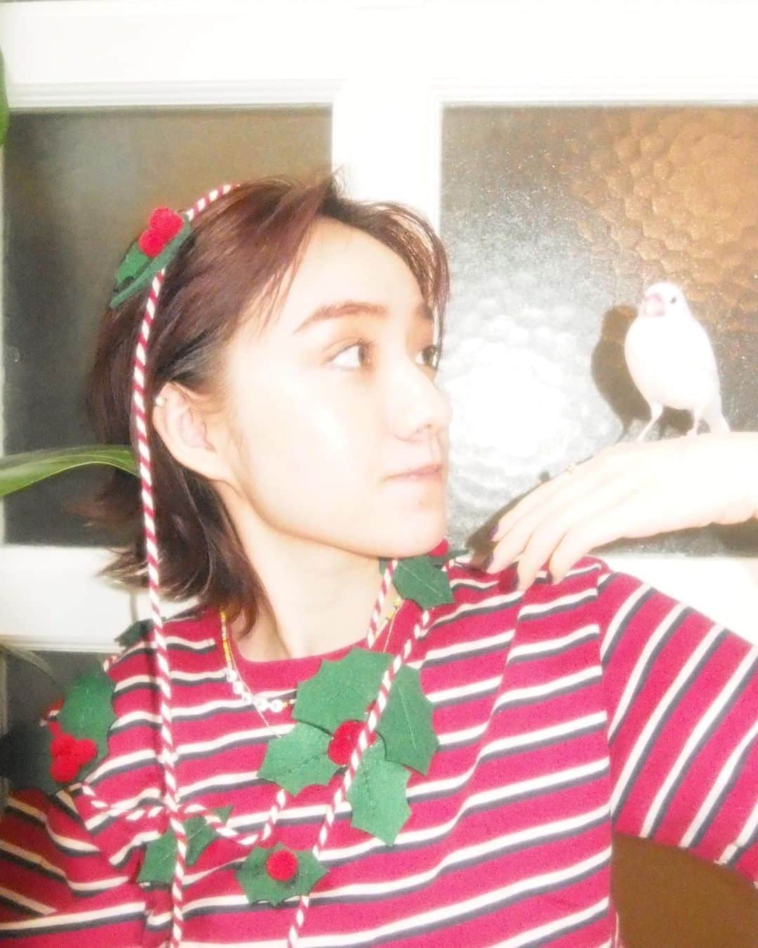 小島藤子さんのインスタグラム写真 - (小島藤子Instagram)「🎄🎄🎄 12月はじめ、気が早い友達にクリスマスの飾りを頭に巻かれました。仲良しのぴちまる。」12月24日 18時41分 - fujisan1216