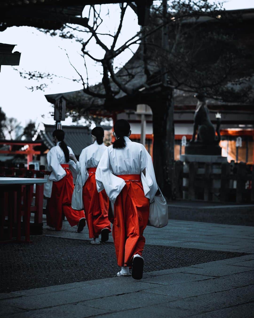 田村幸士のインスタグラム：「. 久々の長期滞在の京都。 京都滞在中でドラマの撮影がない日は5時起きで写真の撮影に行って昼前には戻り部屋で過ごす。京都散策は早朝に限ります✋ . . . . . . . . —— ✂︎ ——— #dbjourney #dbtravel  #kyoto #kyototrip #kyototravel #fushimiinari #fushimiinaritaisha #fushimiinarishrine #explorejpn  #wu_japan #jp_gallery #tokyocameraclub #lovers_nippon #nihonshooters #unknownjapan #japanfeatured #japan #japan_of_insta #japanlover #kimonostyle #kimonofashion #toriigate #torii #miko #sonya7c  #伏見稲荷大社 #伏見稲荷 #京都旅行 #京都旅 #巫女」