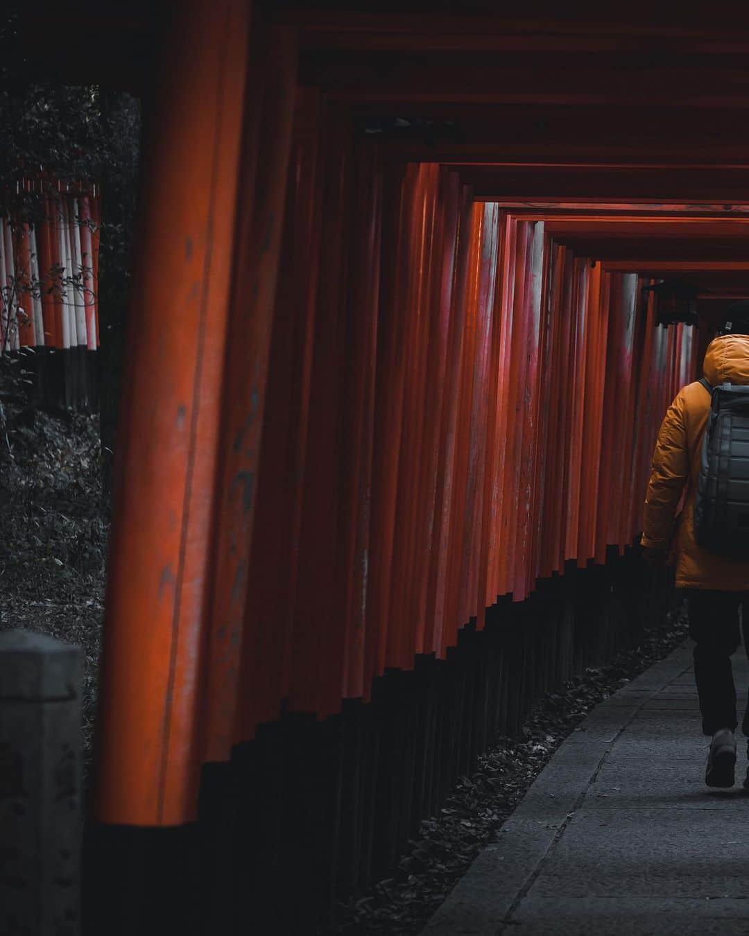 田村幸士さんのインスタグラム写真 - (田村幸士Instagram)「. 久々の長期滞在の京都。 京都滞在中でドラマの撮影がない日は5時起きで写真の撮影に行って昼前には戻り部屋で過ごす。京都散策は早朝に限ります✋ . . . . . . . . —— ✂︎ ——— #dbjourney #dbtravel  #kyoto #kyototrip #kyototravel #fushimiinari #fushimiinaritaisha #fushimiinarishrine #explorejpn  #wu_japan #jp_gallery #tokyocameraclub #lovers_nippon #nihonshooters #unknownjapan #japanfeatured #japan #japan_of_insta #japanlover #kimonostyle #kimonofashion #toriigate #torii #miko #sonya7c  #伏見稲荷大社 #伏見稲荷 #京都旅行 #京都旅 #巫女」12月24日 18時59分 - kojimg