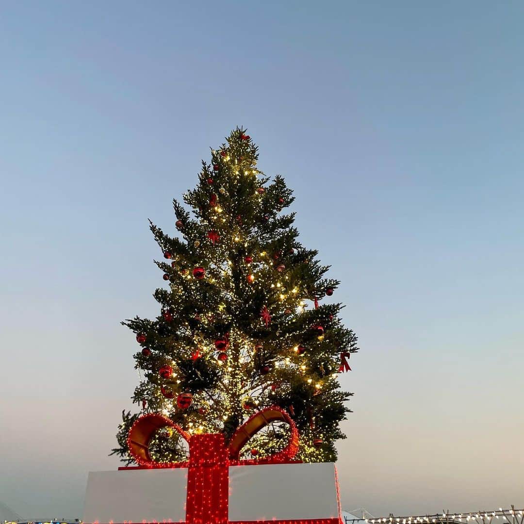 萩田帆風さんのインスタグラム写真 - (萩田帆風Instagram)「. Christmas Eve♡🎄  明日はクリスマス~ ワンマンライブ~🎤 楽しみすぎるから早めに寝る☃️」12月24日 19時16分 - honchandaayo